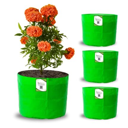 Durable Green Grow Bags for Terrace & Balcony Gardening