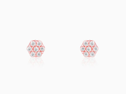 Rose Gold Zircon Floral Shine Earrings