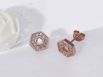 Rose Gold Hexagon Geometry Earrings